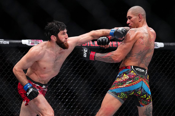 Магомед Анкалаев — Алекс Перейра 2: реванш, UFC 320, 5 октября 2025, дата второго боя, когда и где состоится, чемпион UFC